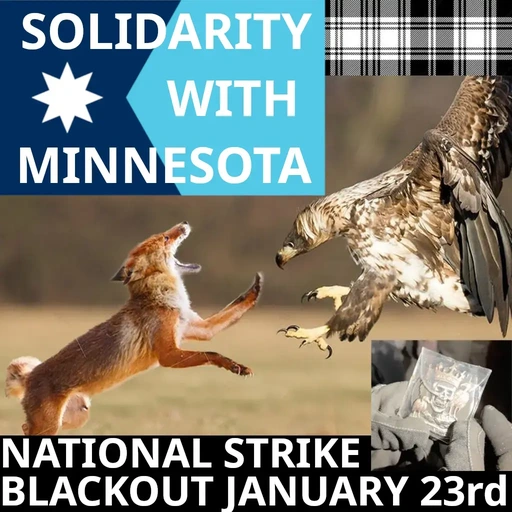 Solidarity With Minnesota. National Strike Blackout January