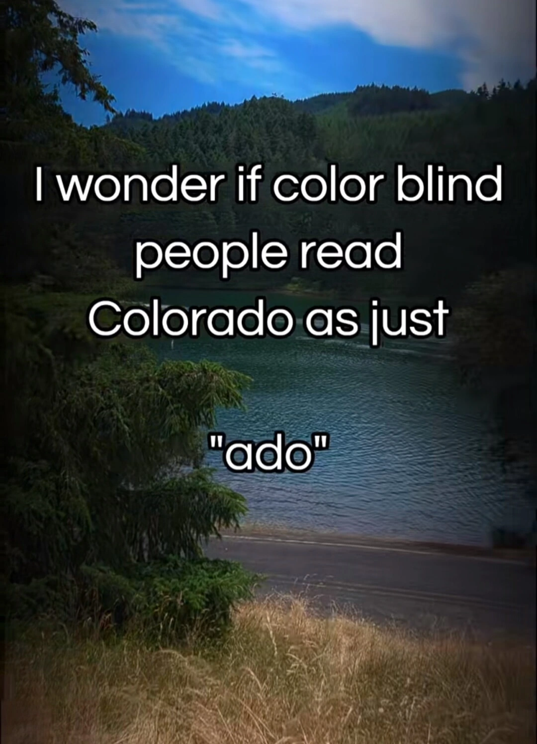 They do