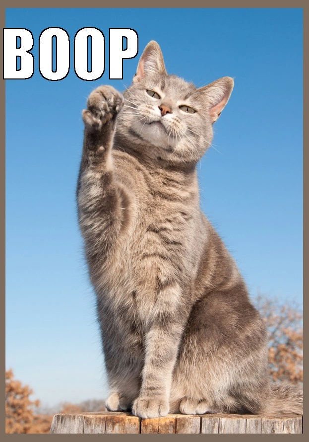 Cute little feline tiger with the :3 liften one paw, as to boop