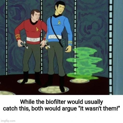 Scotty at play